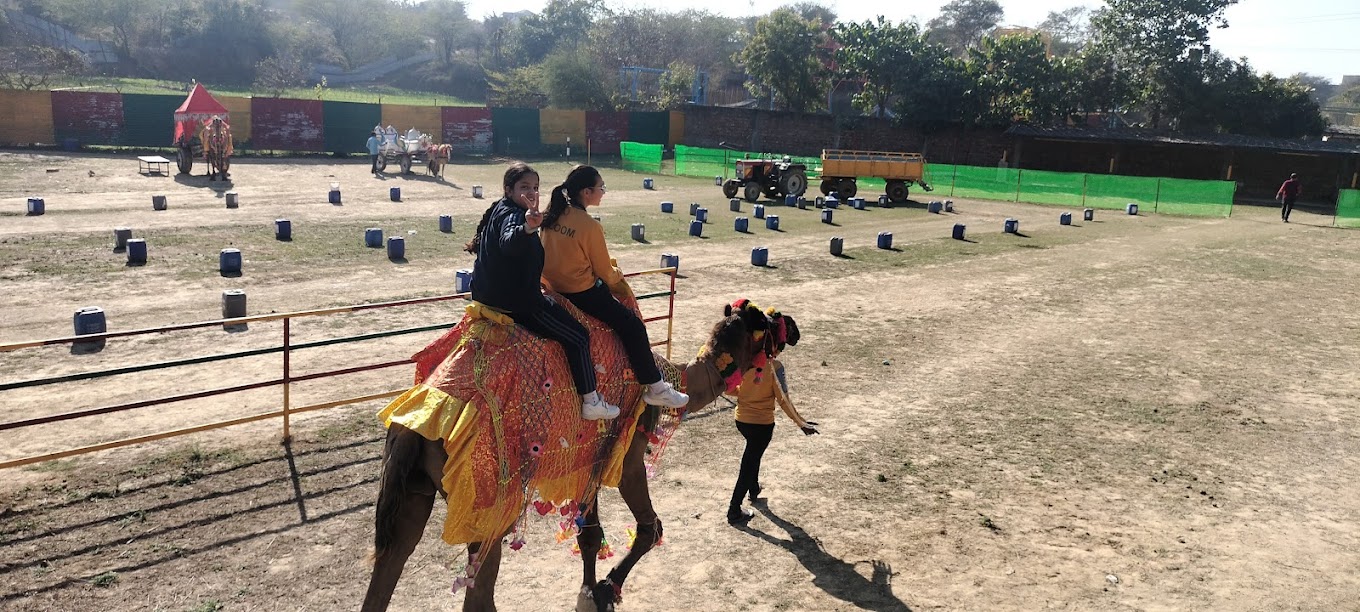 Bloom International School