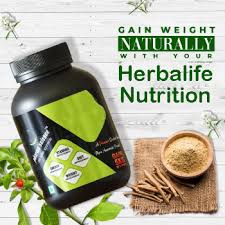 Best Herbalife Wellness &amp; Nutrition Coach in Noida | VRFITBUDDY by Rajni Gaur | Weight Loss &amp; Gain Expert