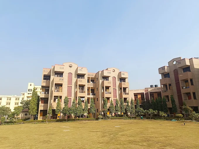 ACCMAN Business School