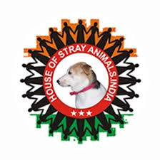 House of Stray Animals