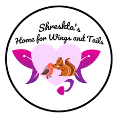 Home for wings and tails foundation
