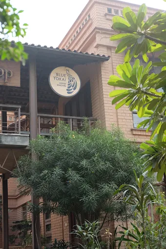 blue tkoai coffe roasters