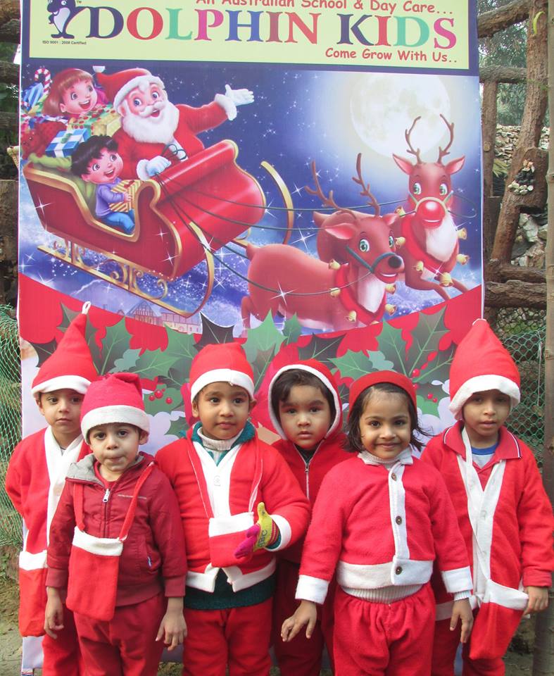 Dolphin Kids preschool 