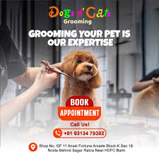Dogs n Cats The Pet Shop
