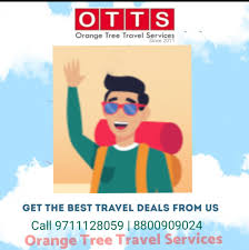 Orange Tree Travel Services