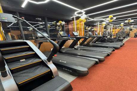 Tiger Fitness Club Noida Sec 46