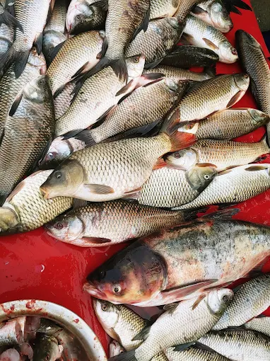 Harola Chicken Fish Market