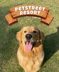 Petstreet Resort