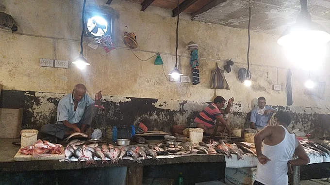 Nithari Fish Market